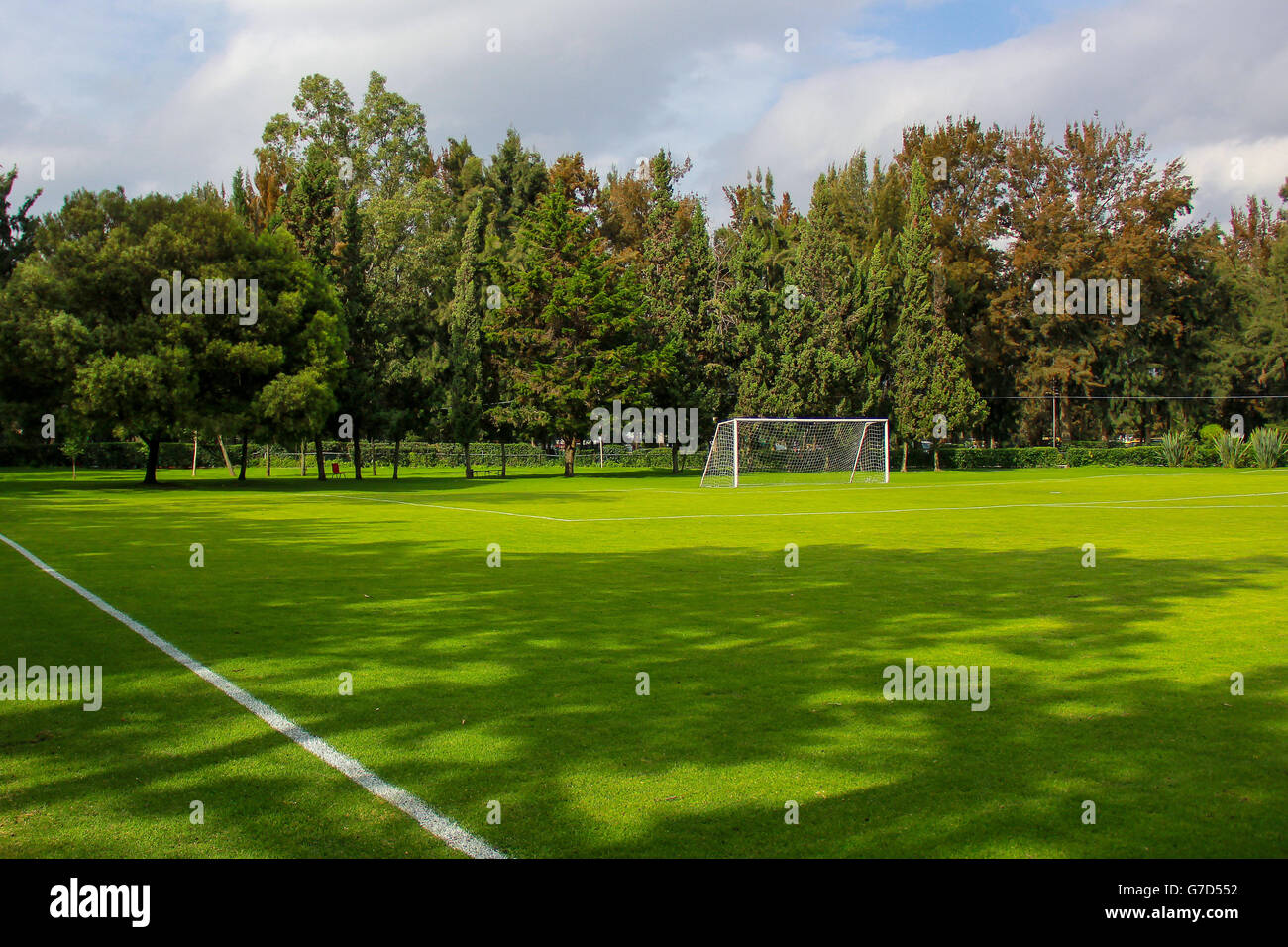 Football soccer field Stock Photo Alamy