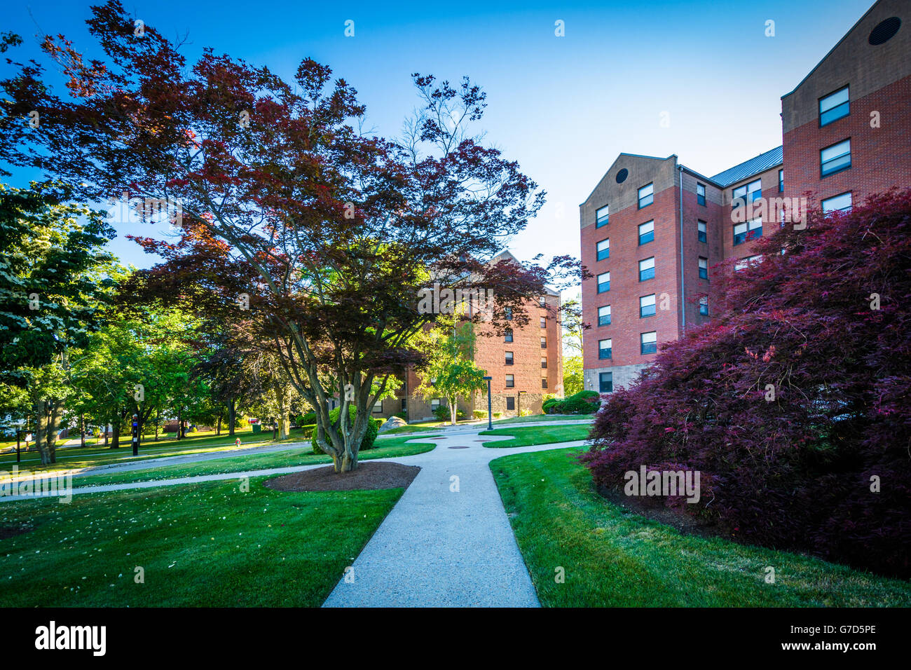 Walkway and buildings at Providence College, in Providence, Rhode Island. Stock Photo