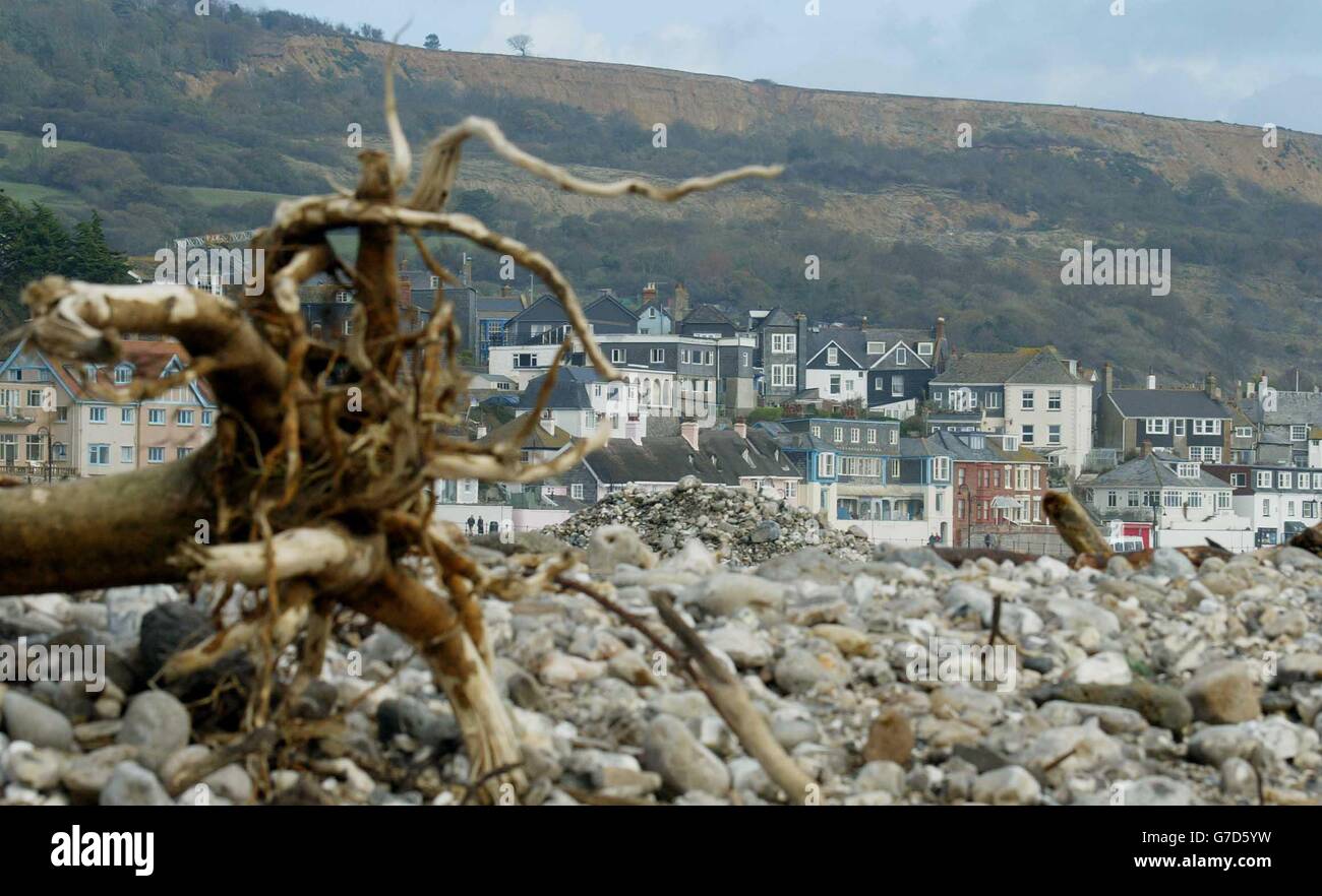 Drift wood and rubbish litter the beach, after being washed ashore during heavy storms last night in Lyme Regis and other parts of the South-West coastline. Stock Photo