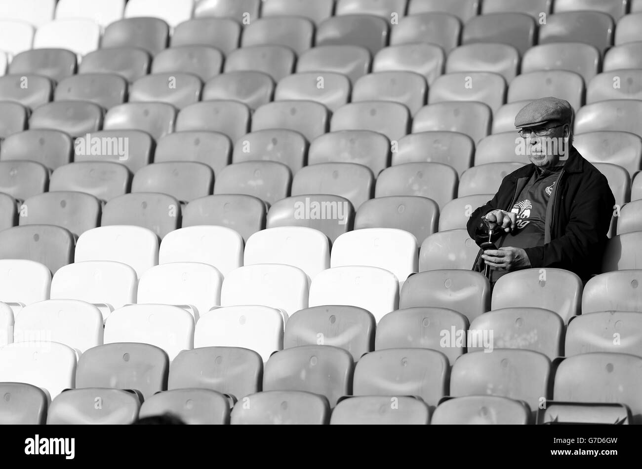 An Everton fan in the stands during the Barclays Premier League match at Goodison Park, Liverpool. PRESS ASSOCIATION Photo. Picture date: Saturday October 18, 2014. See PA story SOCCER Everton. Photo credit should read Peter Byrne/PA Wire. . . Stock Photo