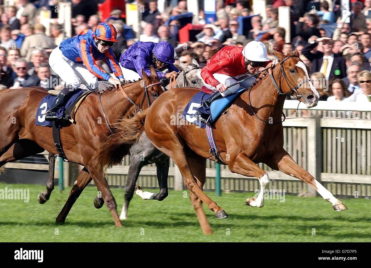 Racing at Newmarket Stock Photo Alamy