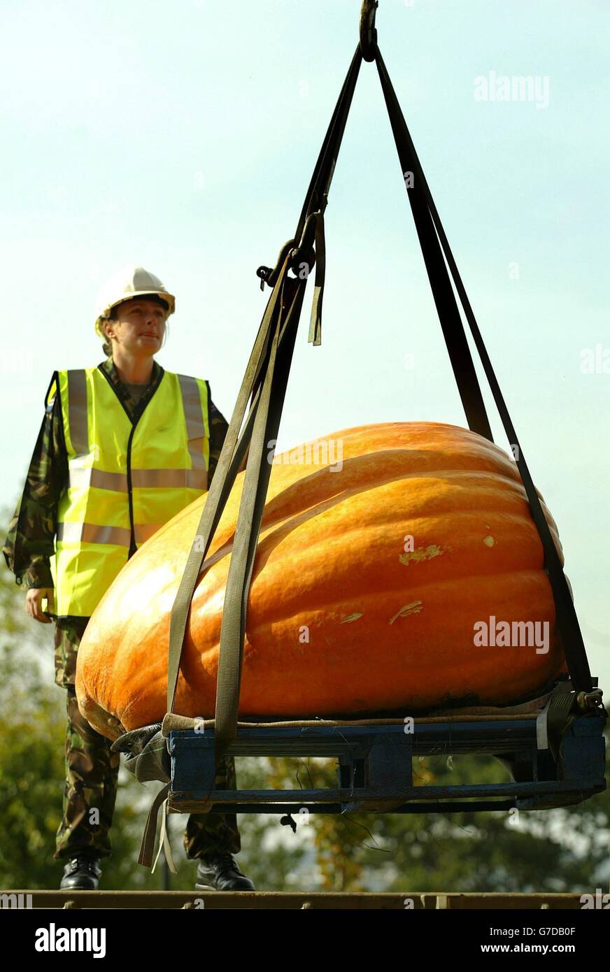 6th Annual Pumkin Festival Stock Photo - Alamy