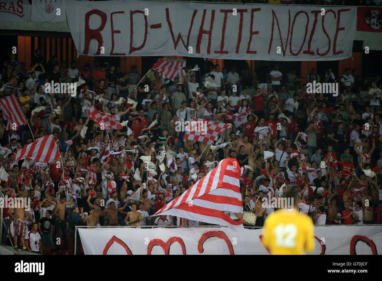 Soccer - UEFA Euro 2016 - Qualifying - Group D - Georgia v Republic of Ireland - Boris Paichadze Dinamo Arena. Georgia fans during the UEFA Euro 2016 Qualifying, Group D match at the Boris Paichadze Dinamo Arena, Tbilisi. Stock Photo