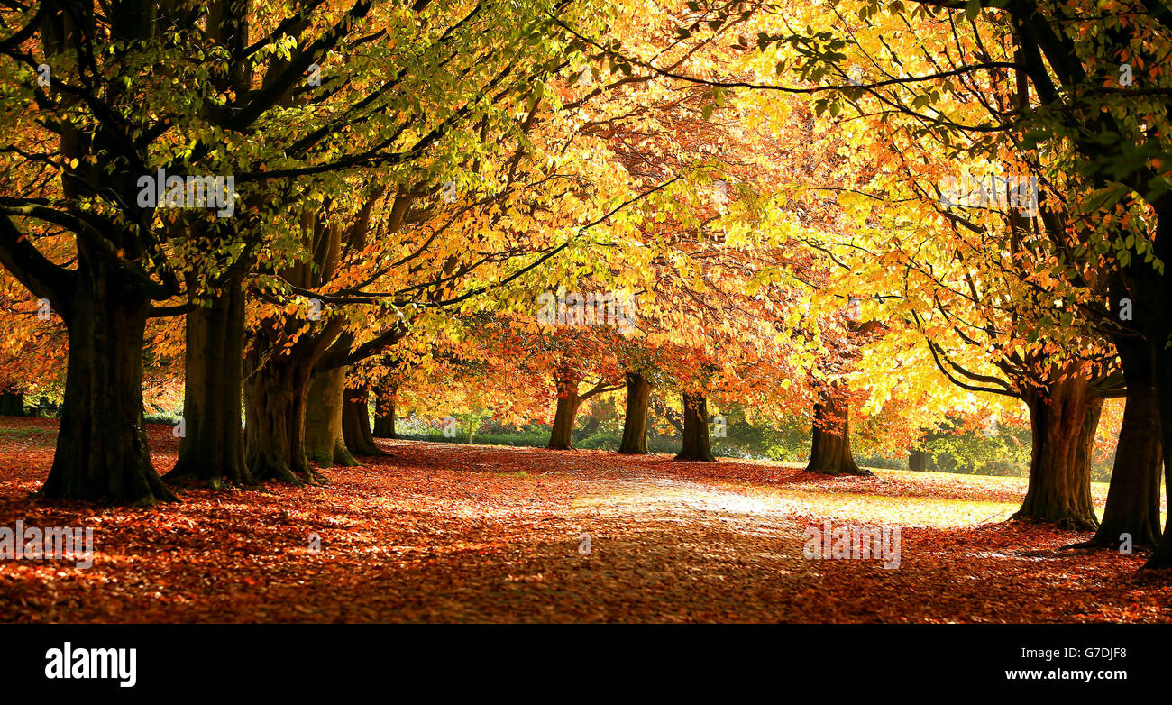 Autumn Weather Allerton, Liverpool Stock Photo Alamy