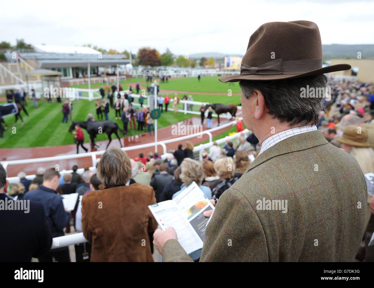 Horse Racing - The Showcase - Day One - Cheltenham Racecourse. A racegoer looks over the winners enclosure during Day one of the 2014 Showcase meeting at Cheltenham Racecourse, Cheltenham. Stock Photo