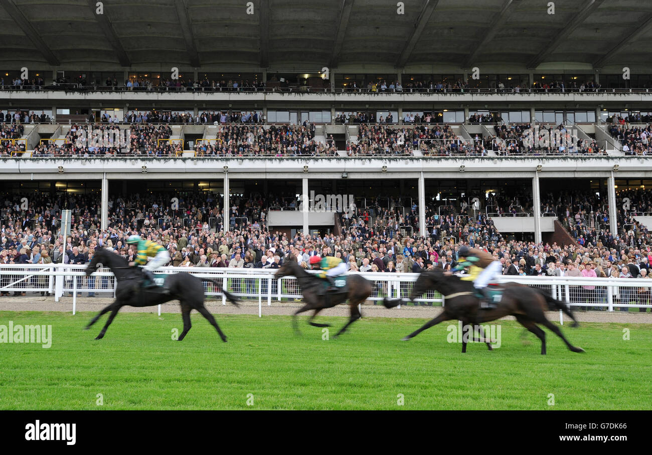 The runners compete in the Pertemps Network Handicap Hurdle during Day one of the 2014 Showcase meeting at Cheltenham Racecourse, Cheltenham. Stock Photo
