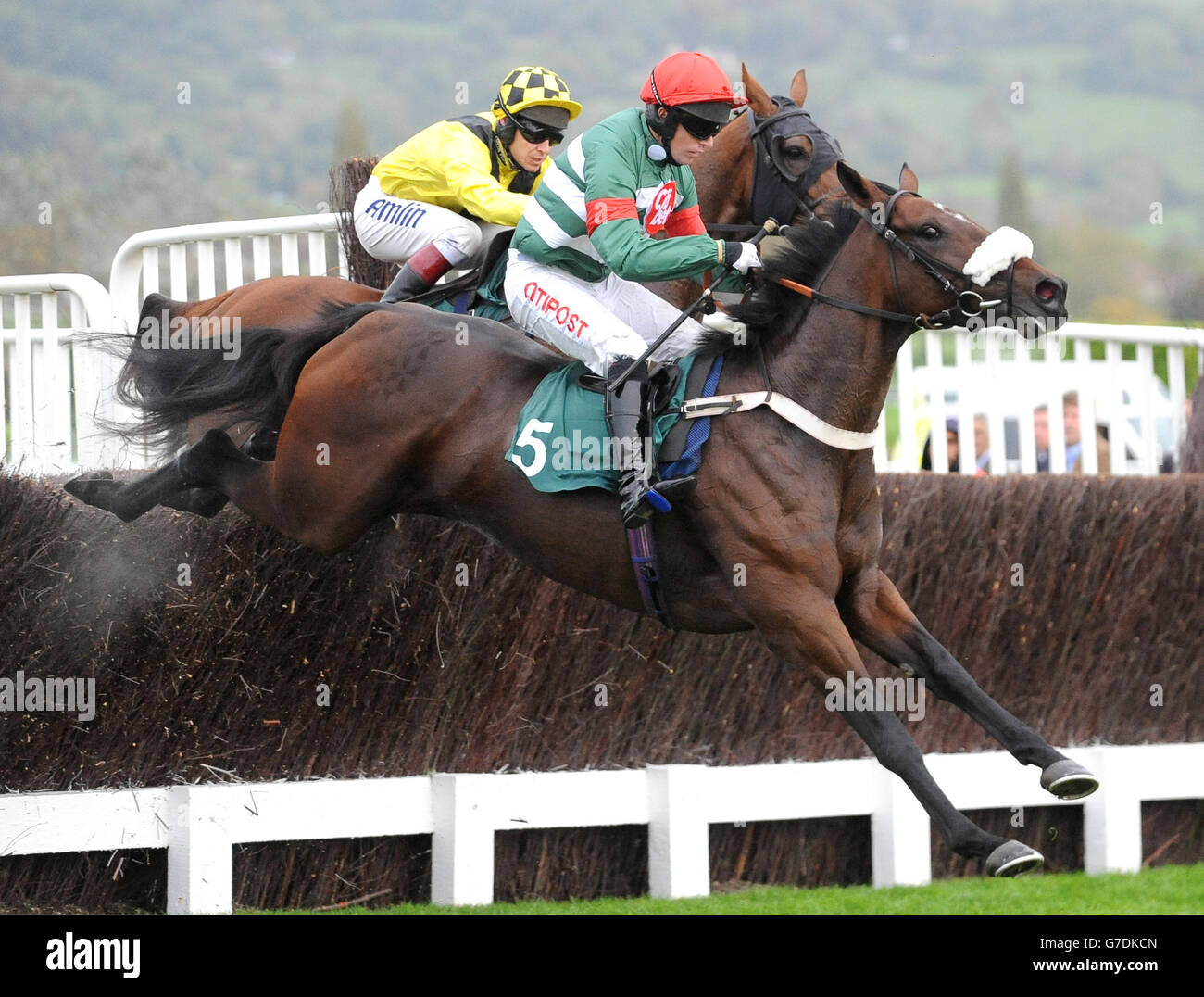 Highland Retreat ridden by Noel Fehily (front) and Lamb or Cod ridden by Richard Johnson compete in the Ryman Stationery Cheltenham Business Club Novices' Steeple Chase during day one of the 2014 Showcase meeting at Cheltenham Racecourse, Cheltenham. Stock Photo