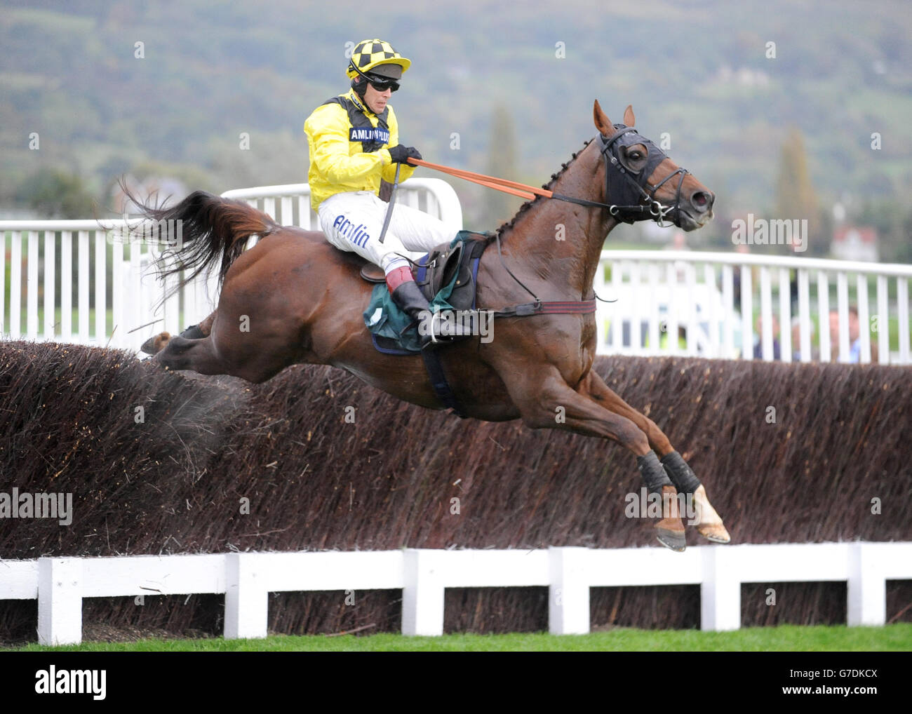 Lamb or Cod ridden by Richard Johnson competes in the Ryman Stationery Cheltenham Business Club Novices' Steeple Chase during day one of the 2014 Showcase meeting at Cheltenham Racecourse, Cheltenham. Stock Photo