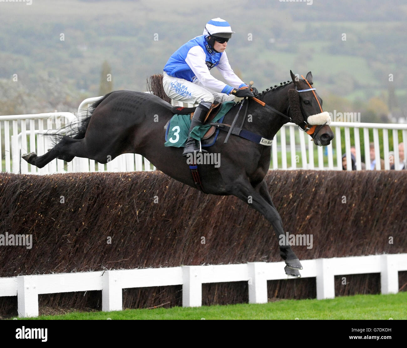 Up for an Oscar ridden by Ed Cookson competes in the Ryman Stationery Cheltenham Business Club Novices' Steeple Chase during day one of the 2014 Showcase meeting at Cheltenham Racecourse, Cheltenham. Stock Photo
