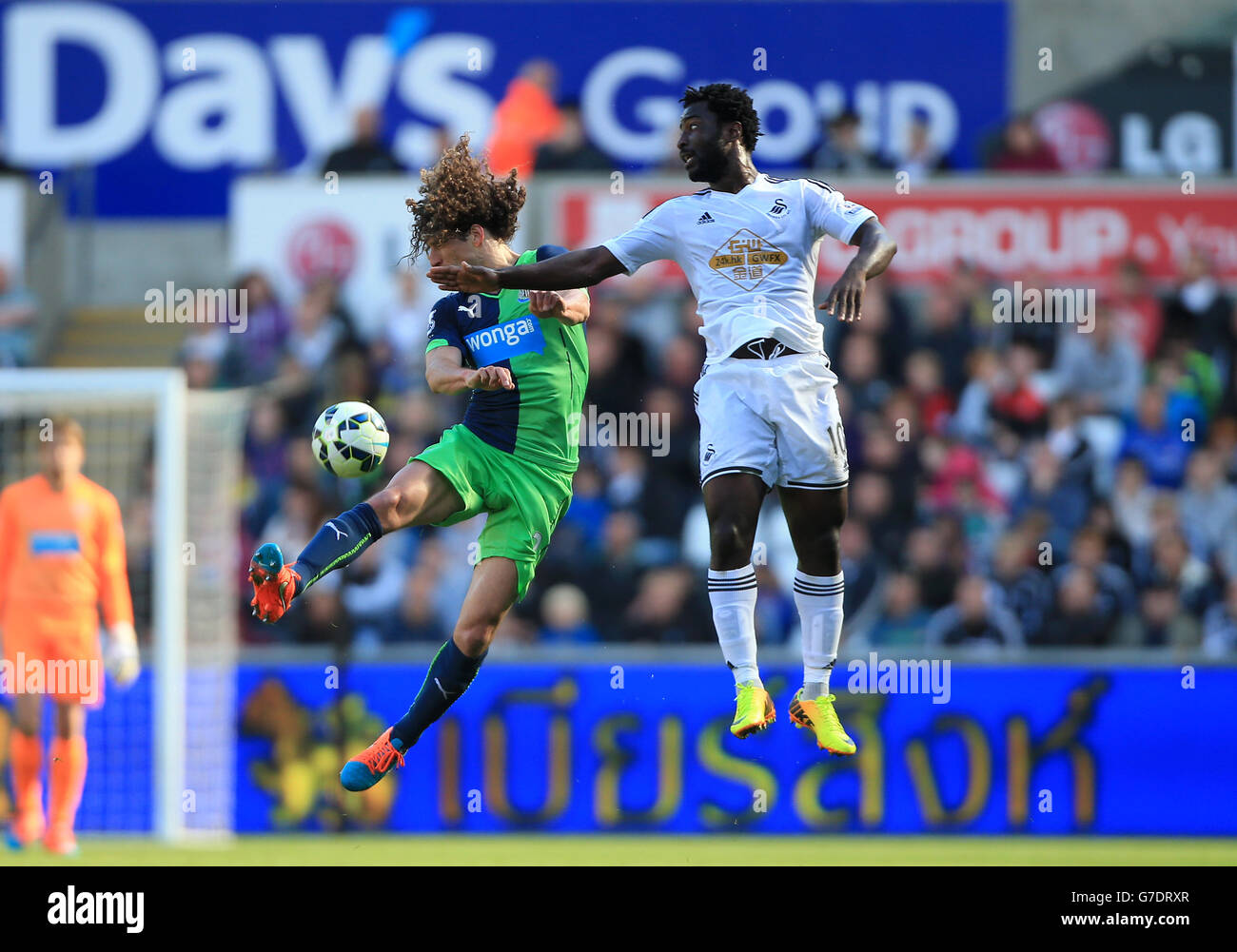 Newcastle United's Fabricio Coloccini (left) battles for the ball with Swansea City's Wilfried Bony during the Barclays Premier League match at the Liberty Stadium, Swansea. Stock Photo