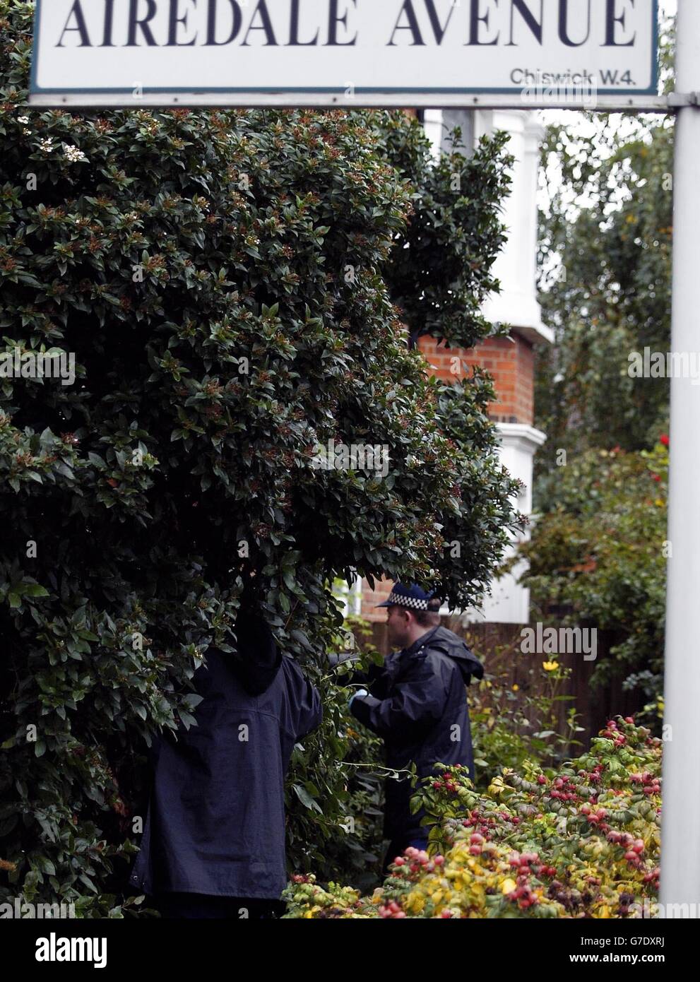Policemen search bushes in gardens inside a cordoned area outside a house in Airedale Avenue, Chiswick, where a man was stabbed to death when he caught a thief robbing his home. Stock Photo