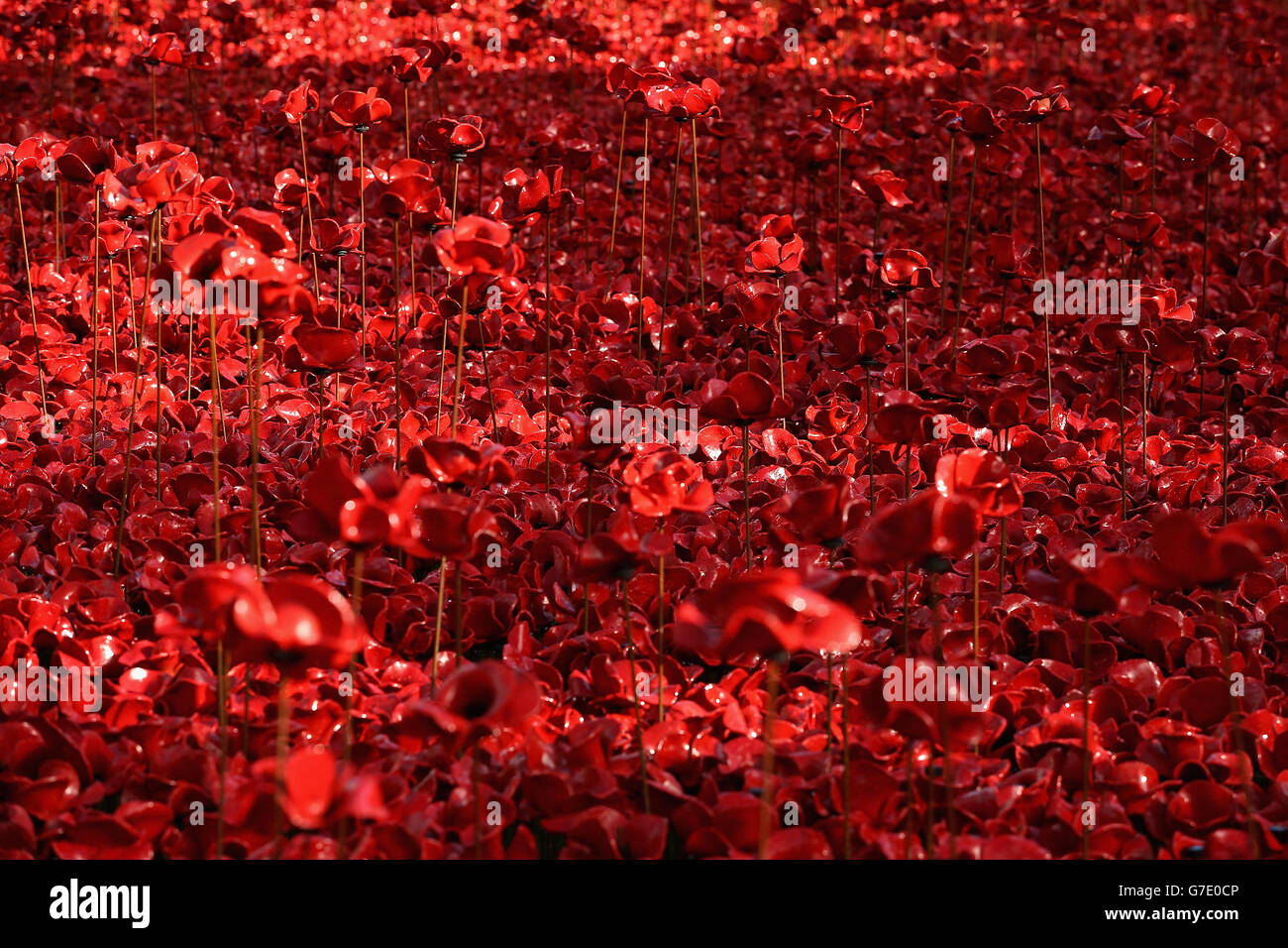 Queen visits Tower of London Stock Photo Alamy
