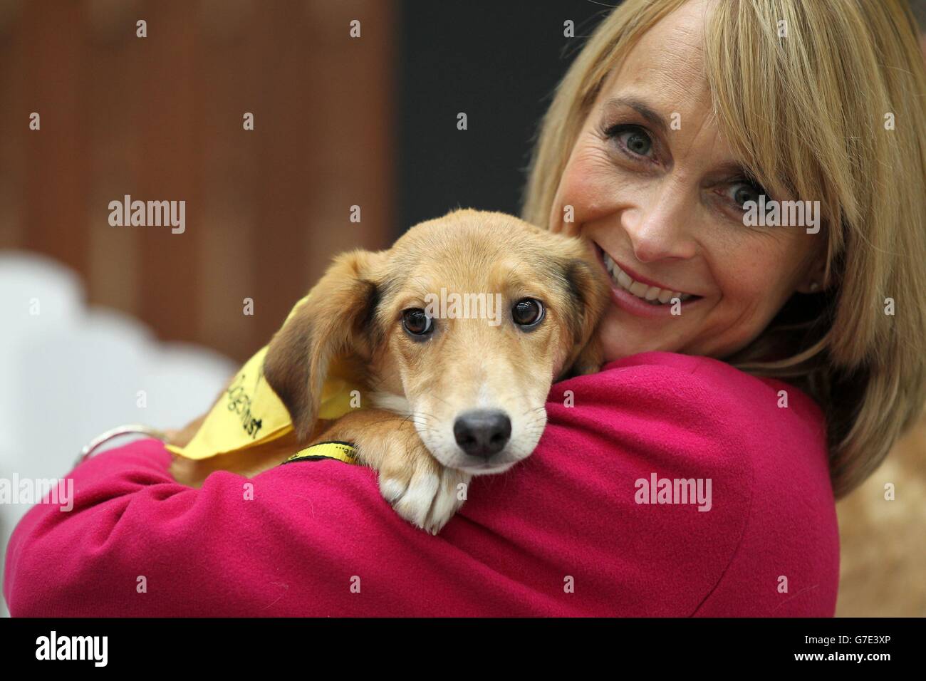 Opening of Dogs Trust Manchester Stock Photo Alamy