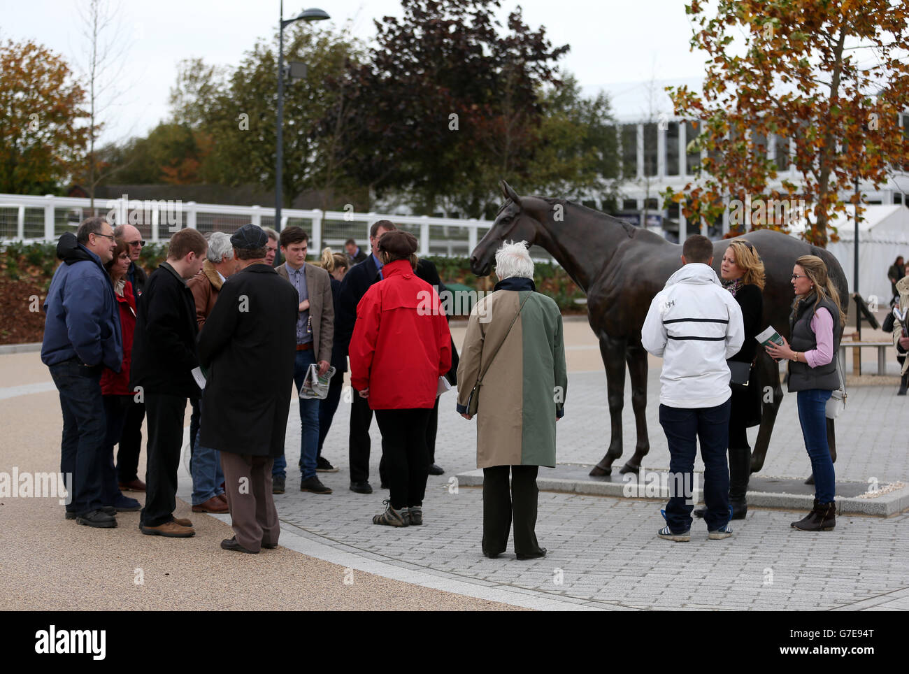 Best mate horse hires stock photography and images Alamy