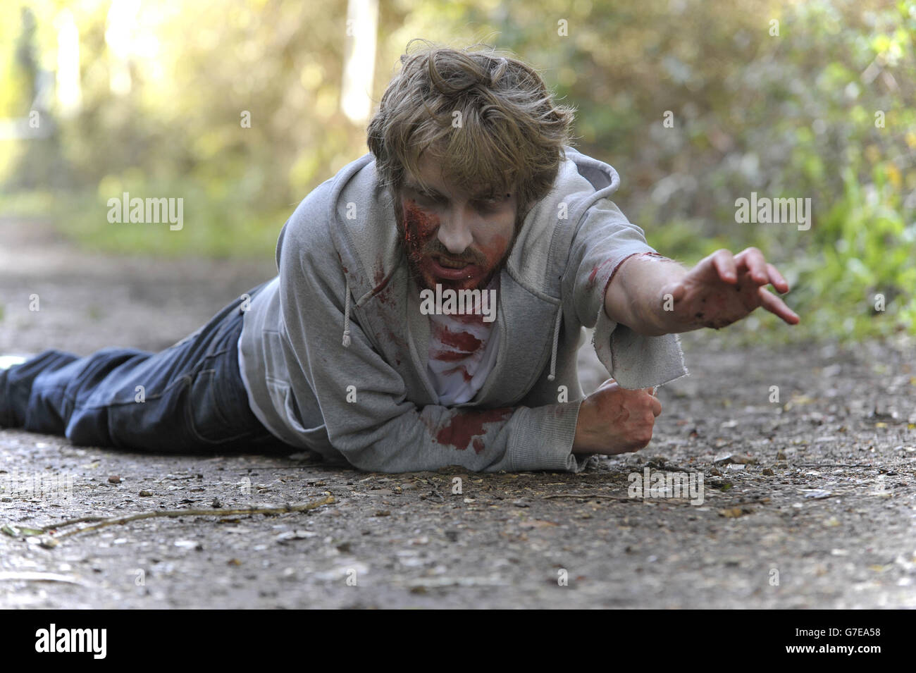 Stuart Owen crawling on the woodland path during the Zombie Evacuation Race at Milton Country Park in Cambridge. Stock Photo