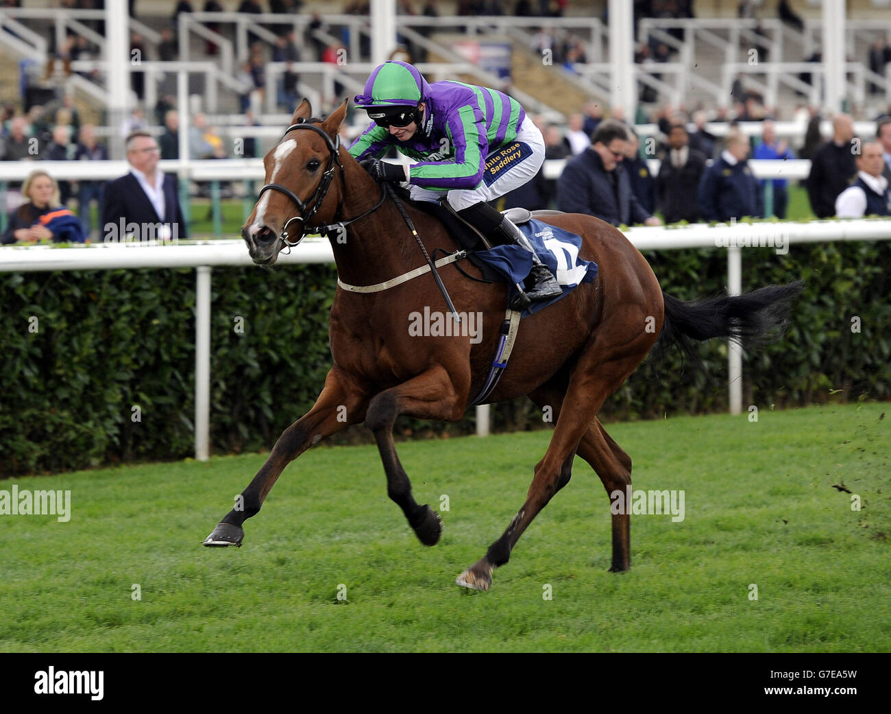 Doncaster race trophy hi-res stock photography and images - Alamy