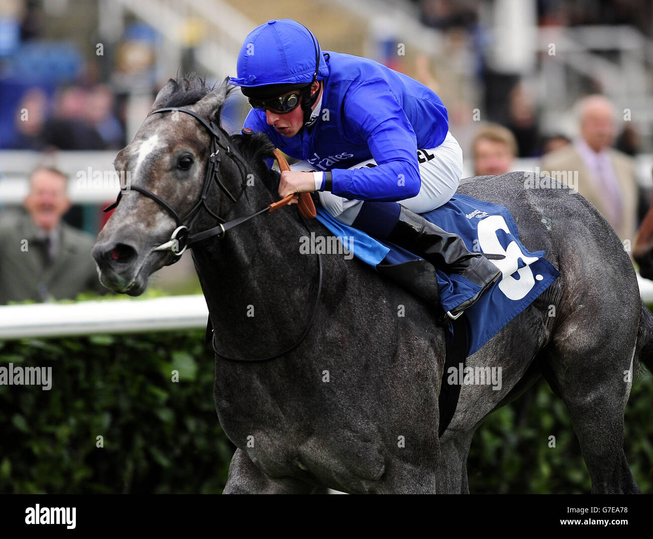 Horse Racing Racing Post Trophy Day Doncaster Racecourse Stock