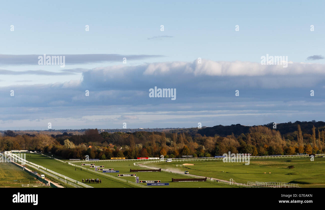 The field make their way down the straight during The Al Basti Equiworld EBF Stallions Maiden Fillies' Stakes during Worthington's Armed Forces Raceday at Newbury Racecourse. PRESS ASSOCIATION Photo. Picture date: Saturday October 25, 2014. See PA story RACING Newbury. Photo credit should read John Walton/PA Wire. Stock Photo