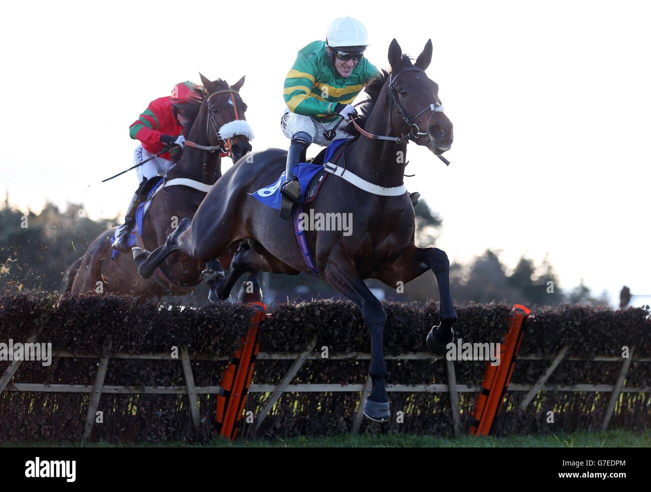 Horse Racing Exeter Stock Photo Alamy