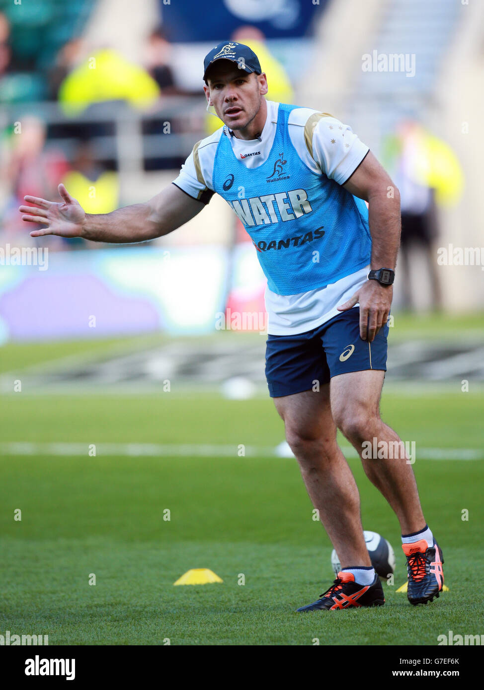 Nathan Grey Rugby Australias assistant coach nathan grey killik cup match twickenham hi ...