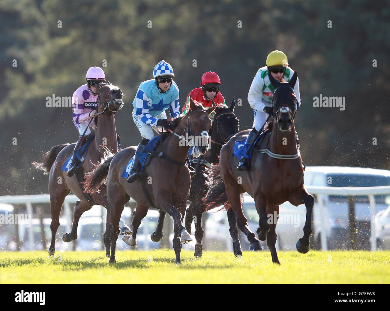 Horse Racing Exeter Stock Photo Alamy