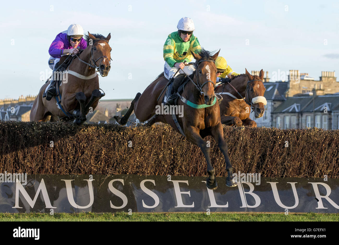Bailey's Concerto jumps the last to win the Maxrecycle Rely and Comply Handicap steeple chase at Musselburgh Racecourse, East Lothian. Stock Photo