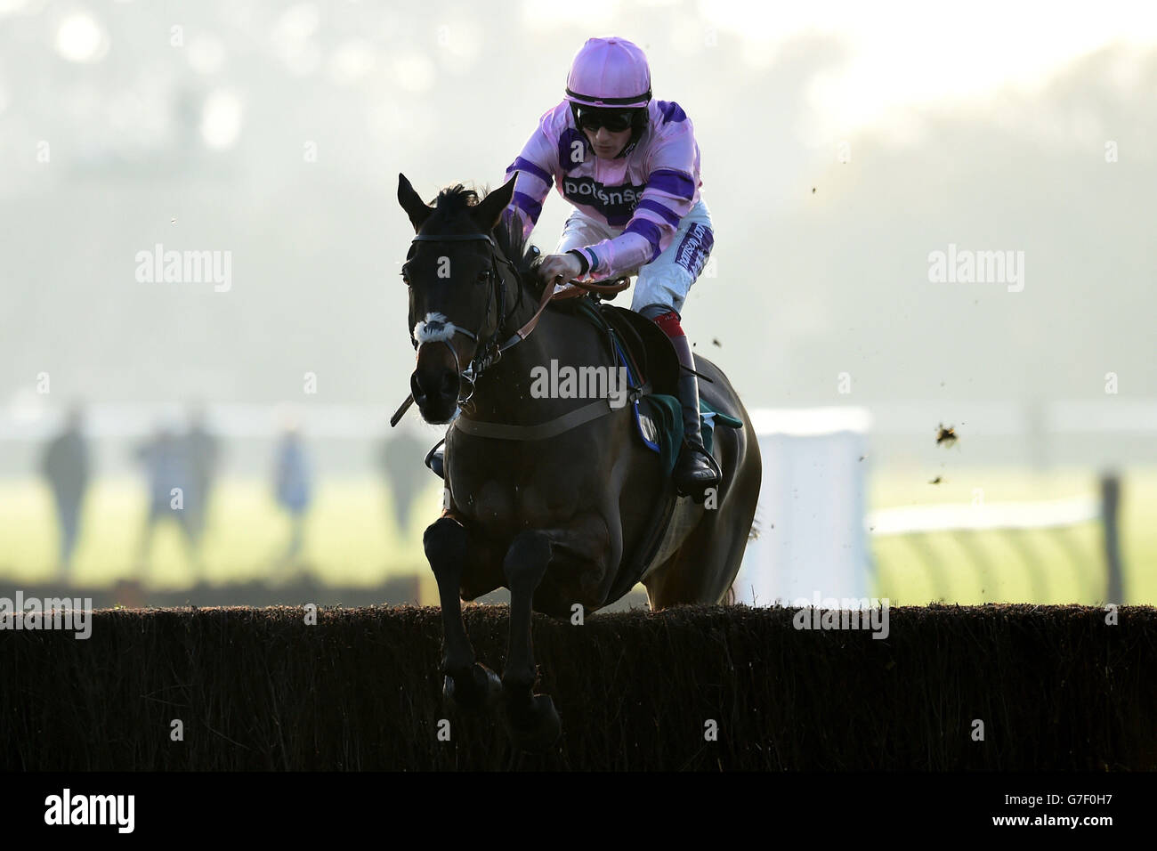 Highflyer horse hires stock photography and images Alamy
