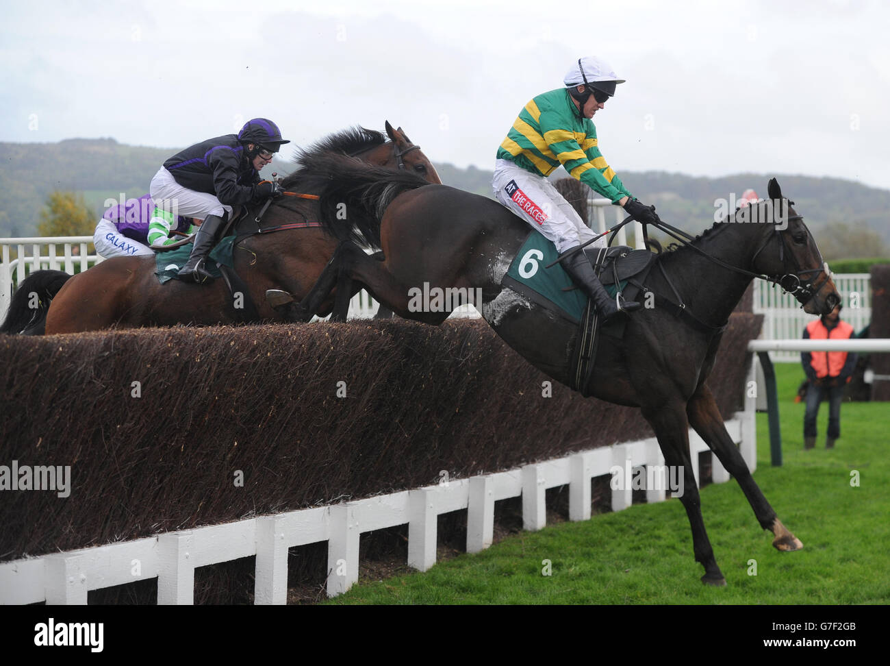 Dursey Sound ridden by Barry Geraghty runs in The Showcase Trophy during day two of the 2014 Showcase meeting at Cheltenham Racecourse, Cheltenham. Stock Photo