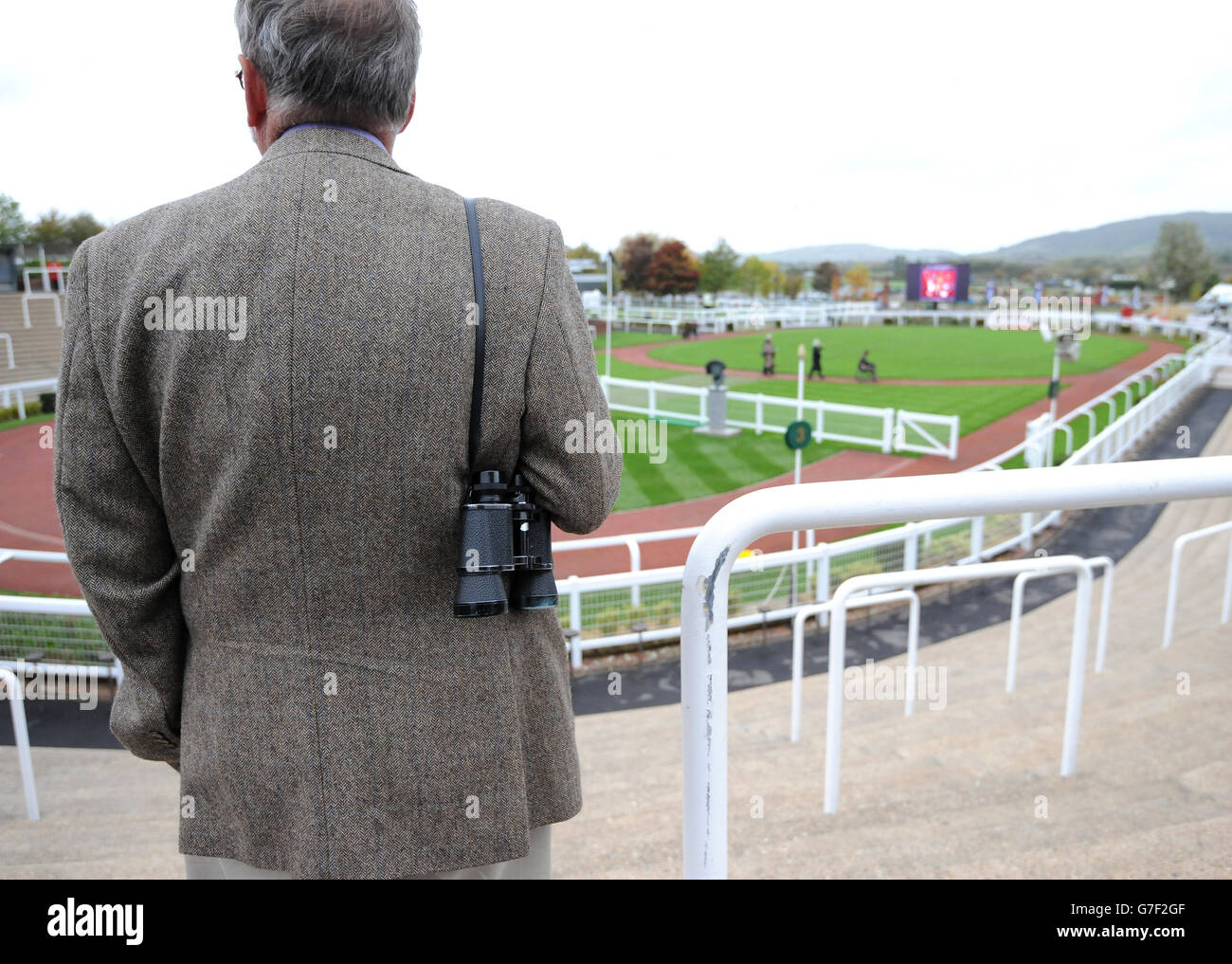 Horse Racing - The Showcase - Day Two - Cheltenham Racecourse Stock Photo