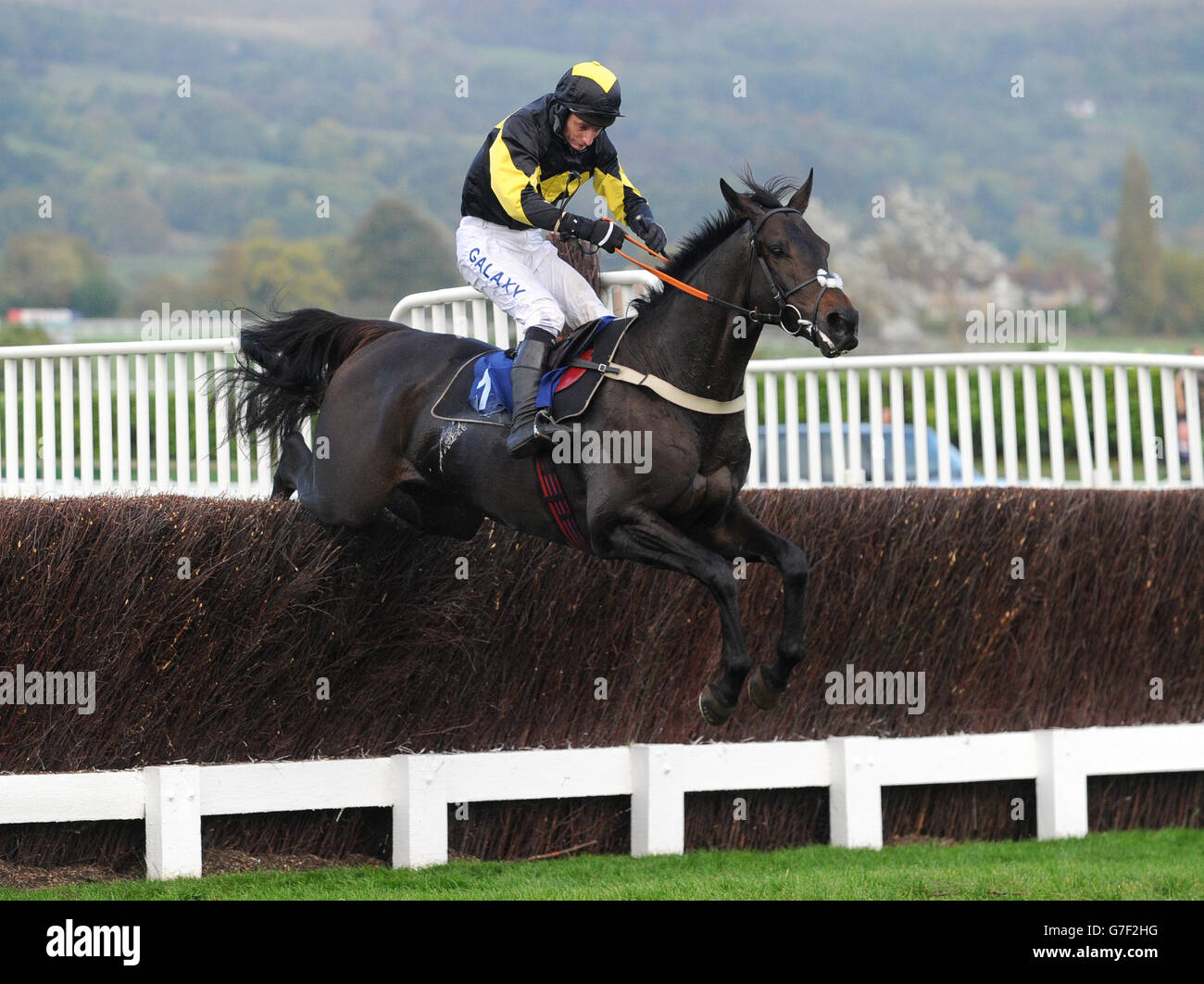 Gentleman Jon ridden by Daryl Jacob runs in the Royal Gloucestershire Hussars Novices' Chase during day two of the 2014 Showcase meeting at Cheltenham Racecourse, Cheltenham. Stock Photo