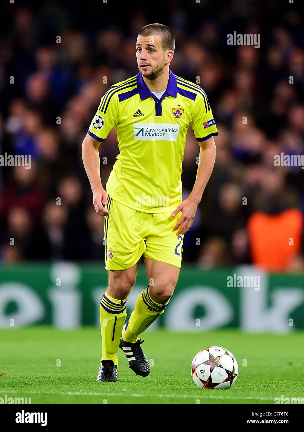 champions league maribor