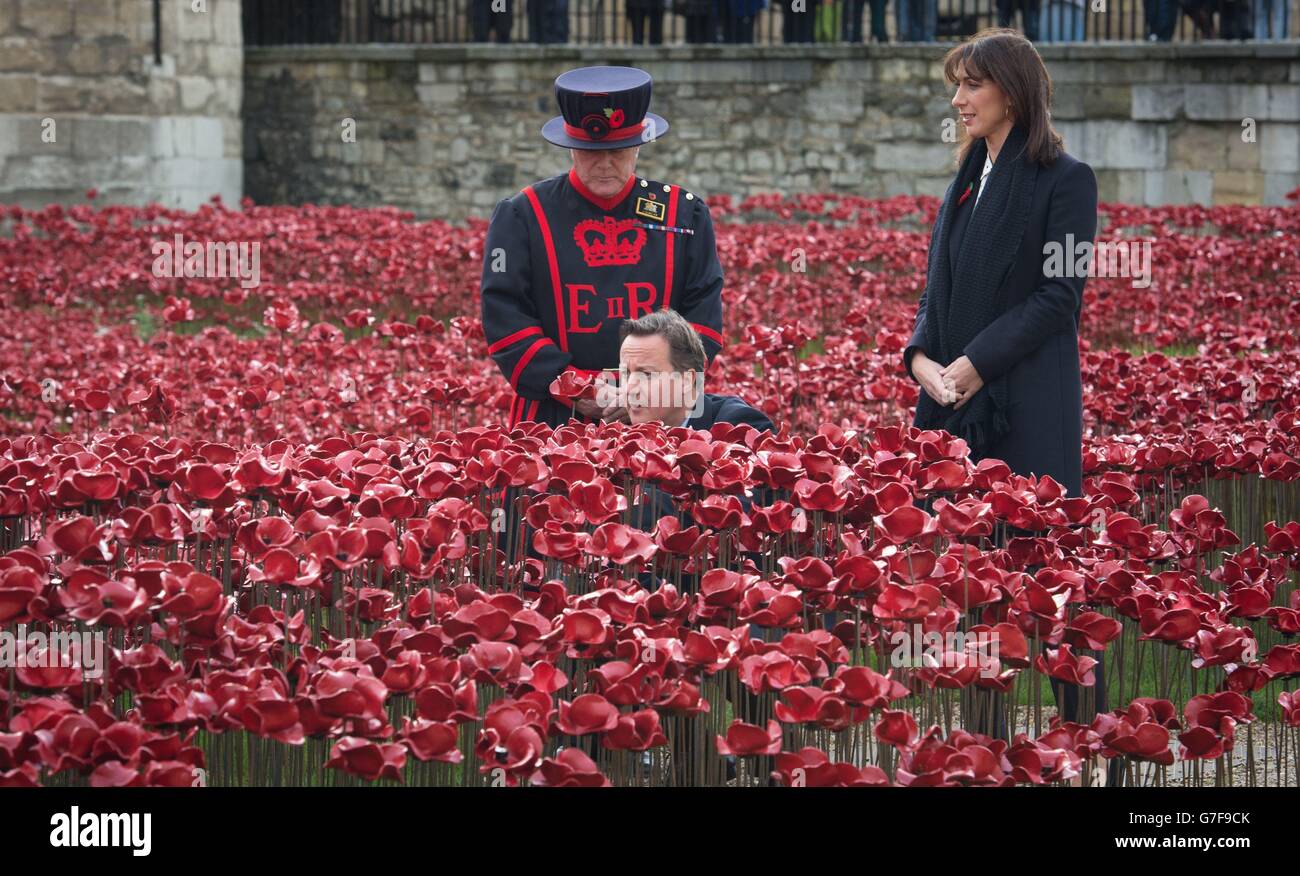 Prime Minister David Cameron and his wife Samantha at the Tower of London where they each lay a poppy at the art installation 'Blood Swept Lands and Seas of Red' by artist Paul Cummins which marks the centenary of the First World War. Stock Photo