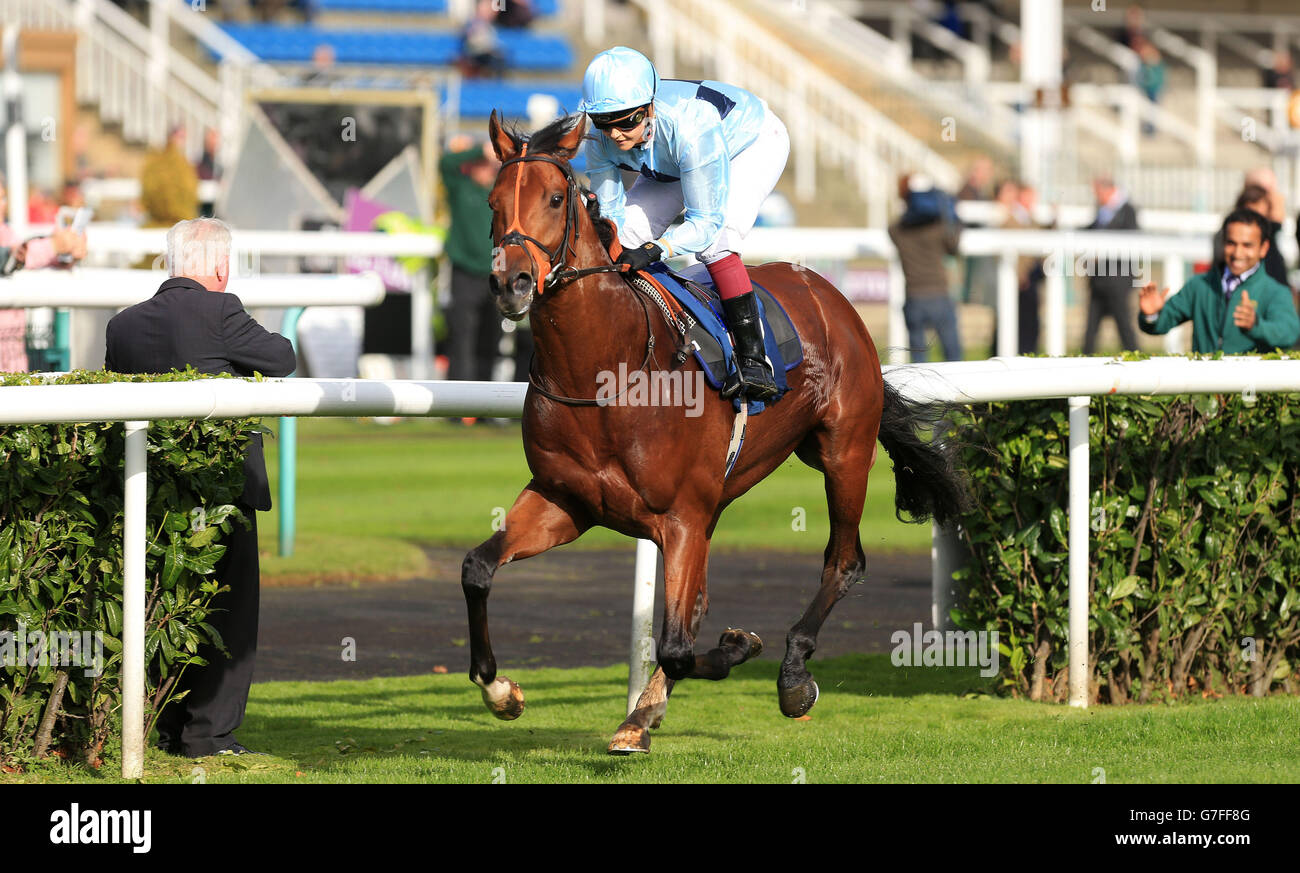 Horse Racing Racing Post Trophy Friday Doncaster Racecourse. Stec