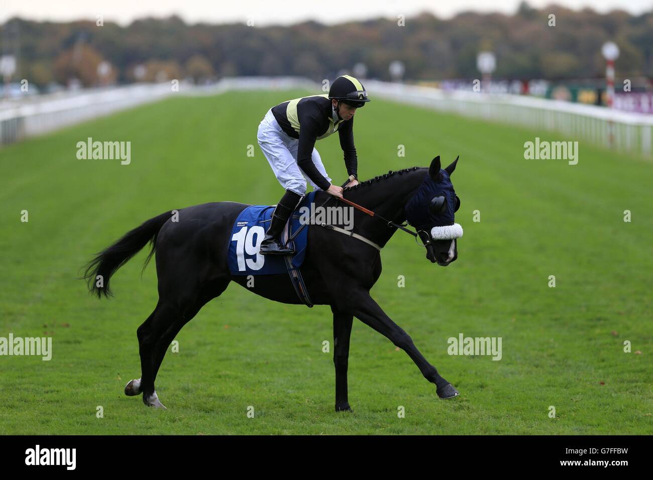Horse Racing Racing Post Trophy Friday Doncaster Racecourse Stock