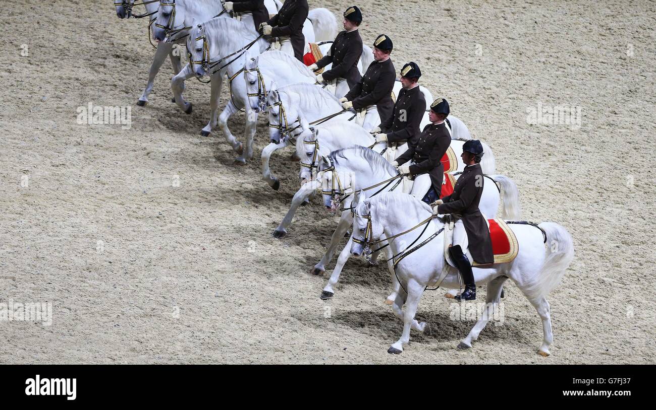 The Spanish Riding School of Vienna UK tour. The Spanish Riding School