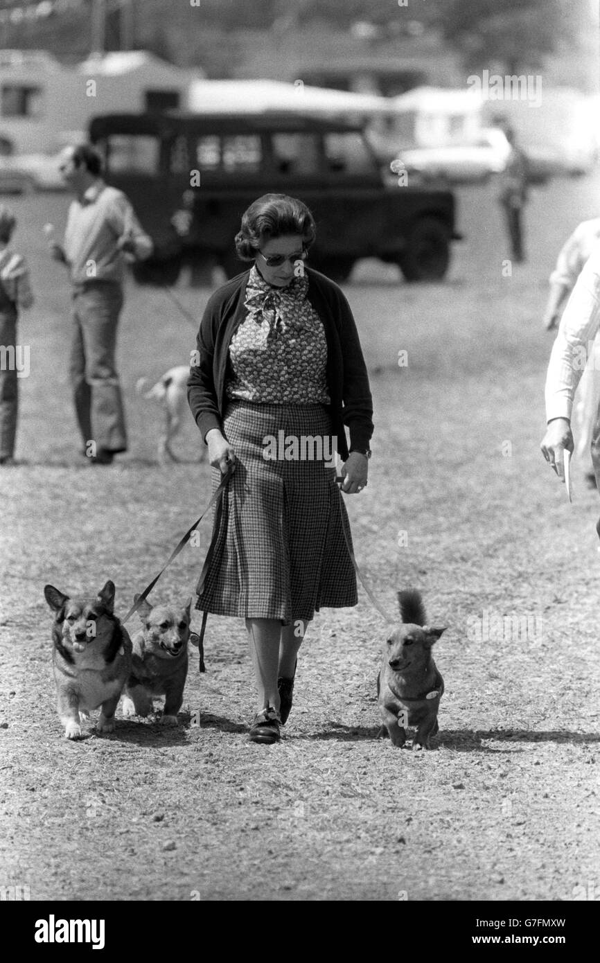 Queen Elizabeth II with some of her Corgis dogs during the second day of the Windsor Horse Trials. Stock Photo