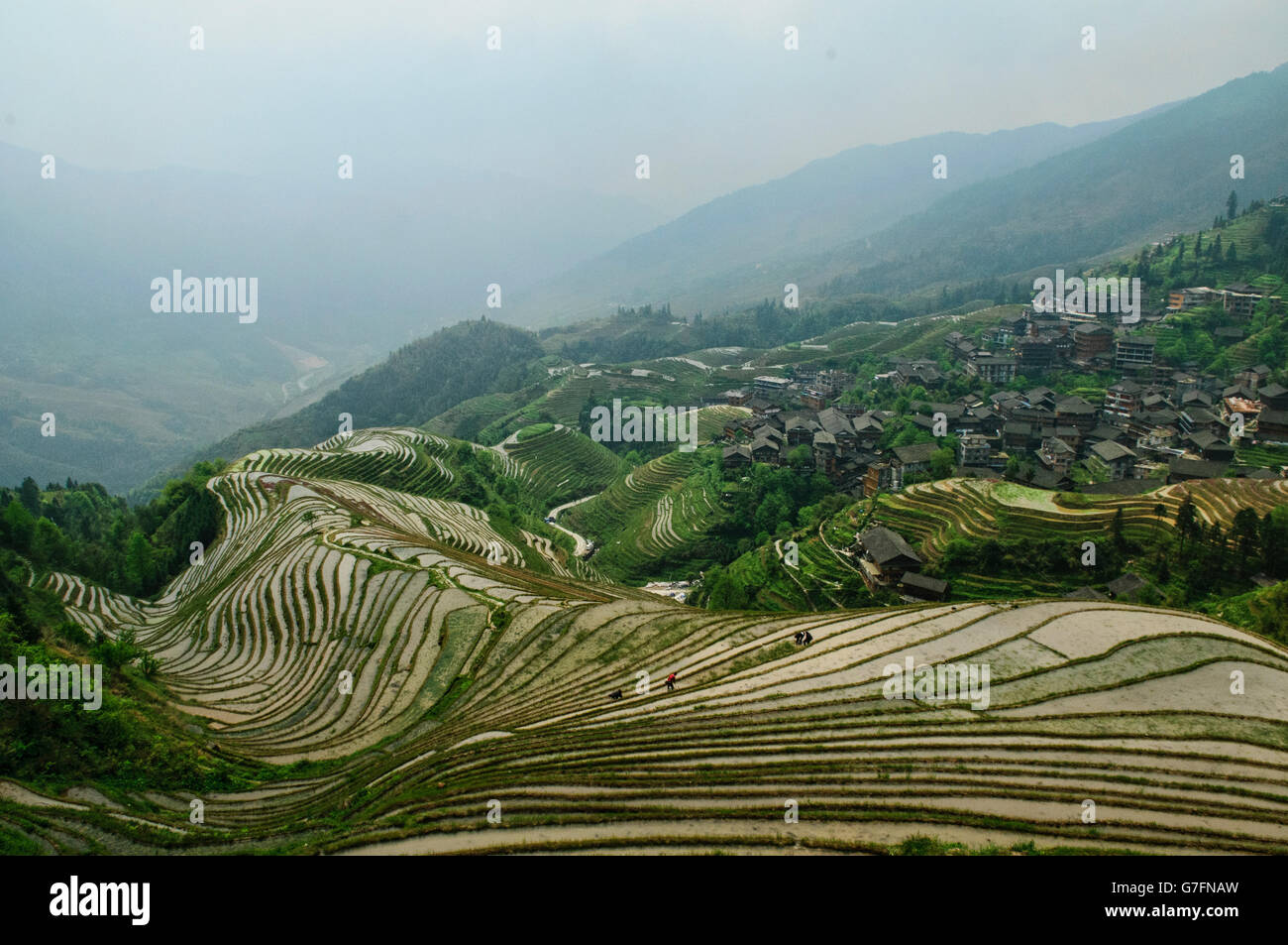 Beautiful rice terraces Jinkeng in Longji, Guangxi Autonomous Region, China Stock Photo