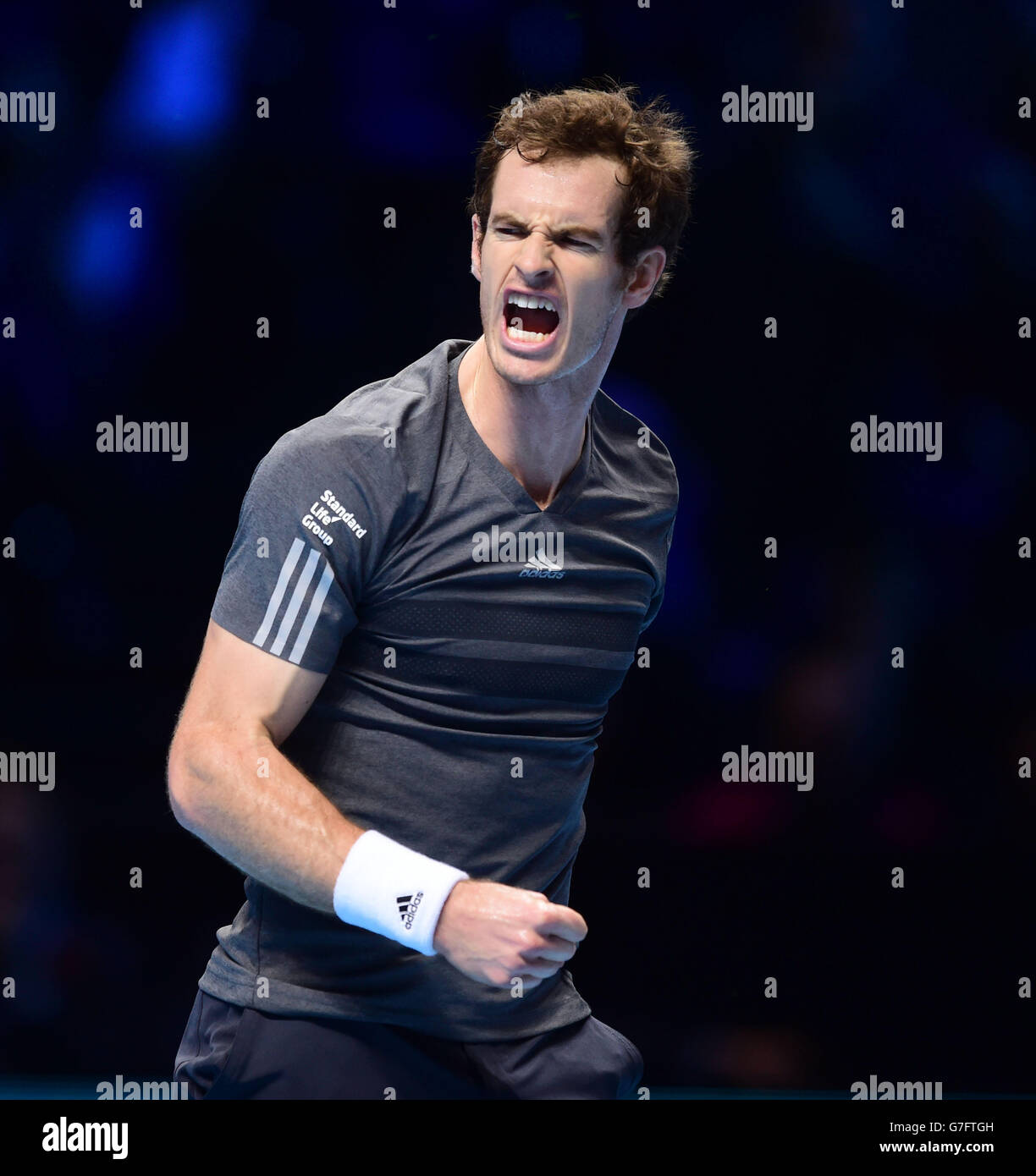 Great Britain's Andy Murray celebrates his win over Canada's Milos Raonic during the Barclays ATP World Tour Finals at The O2 Arena, London. PRESS ASSOCIATION Photo. Picture date: Tuesday November 11, 2014. See PA story TENNIS London. Photo credit should read Adam Davy/PA Wire. Stock Photo