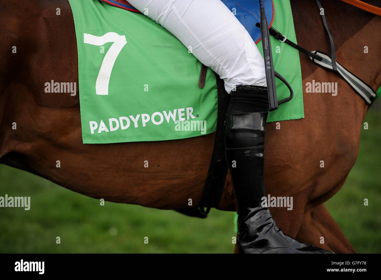 Horse Racing - The Open - Day Two - Cheltenham Racecourse. Detail of a saddlecloth with Paddypower branding at Cheltenham Racecourse Stock Photo