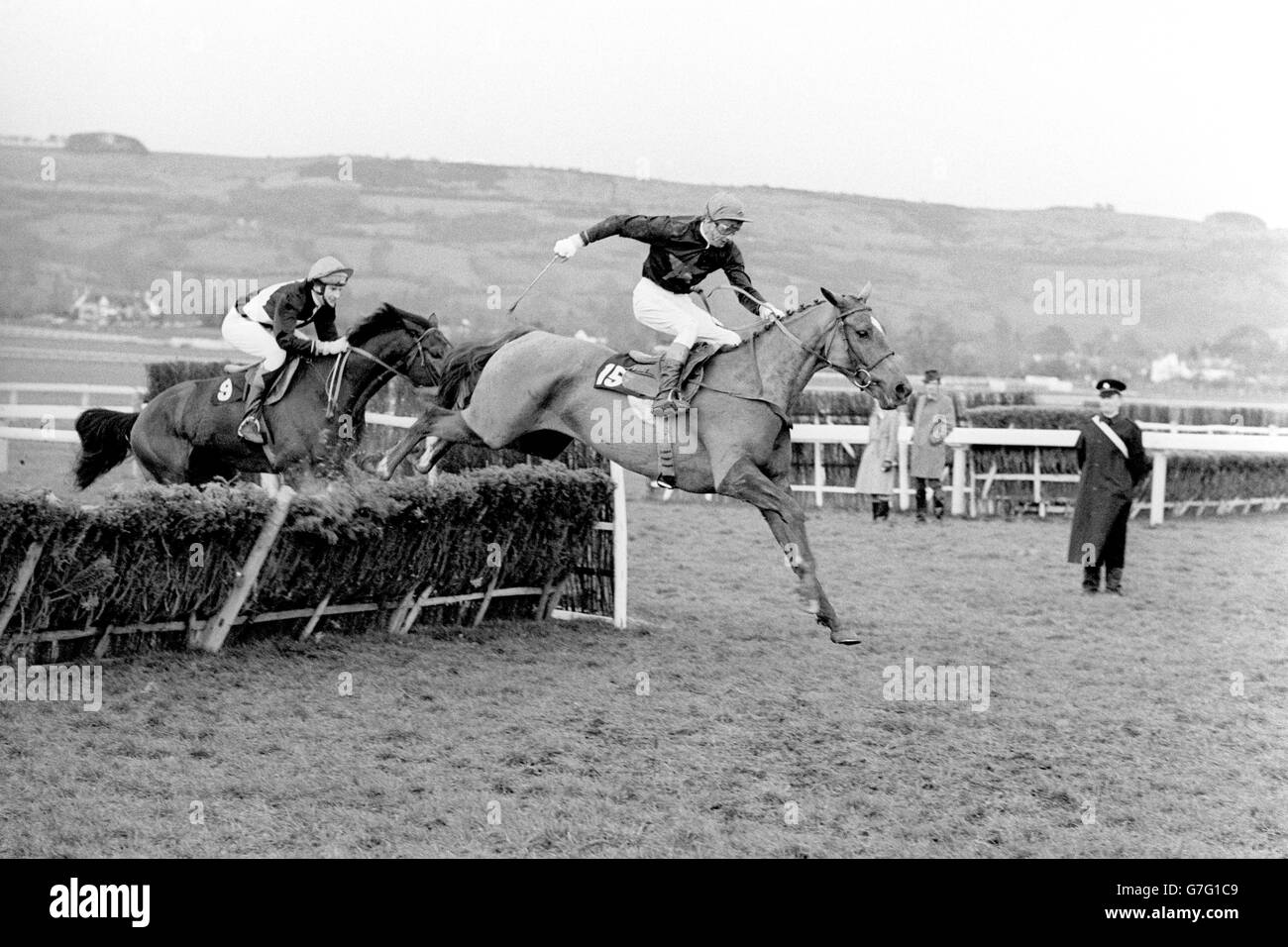 Horse Racing - Dessie Hughes - Cheltenham Stock Photo