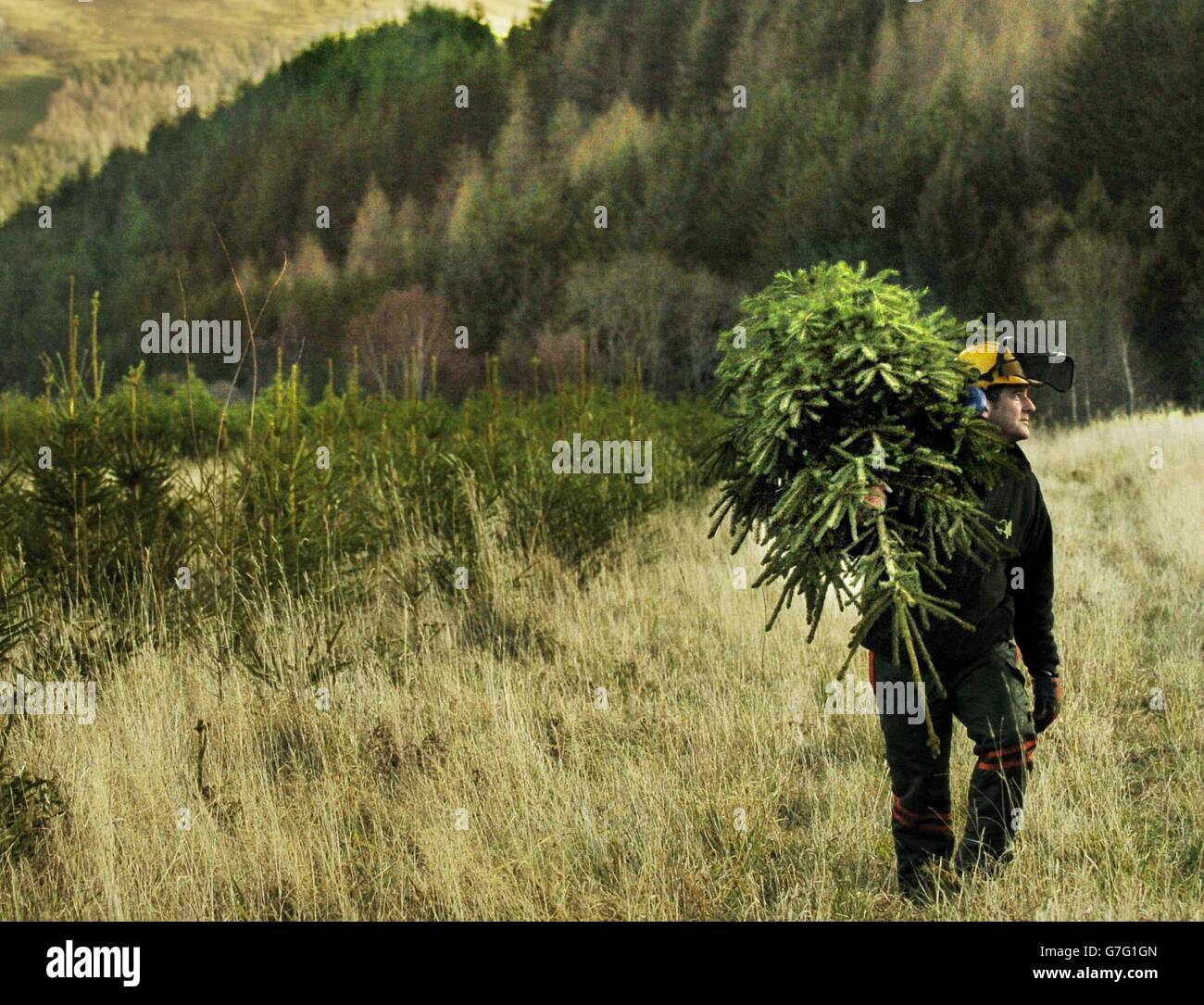 Xmas2004 hires stock photography and images Alamy