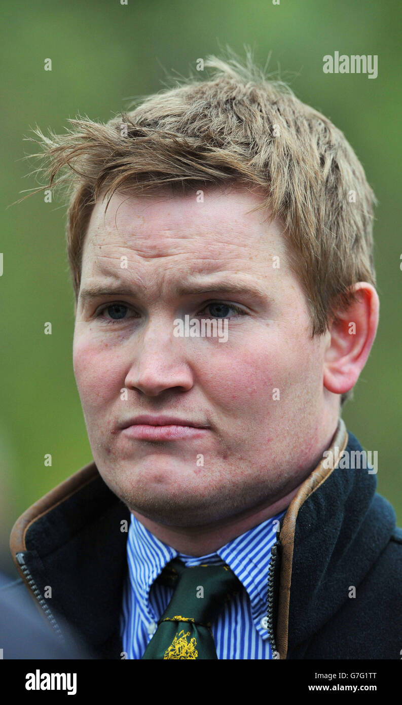Bird flu outbreak Stock Photo Alamy