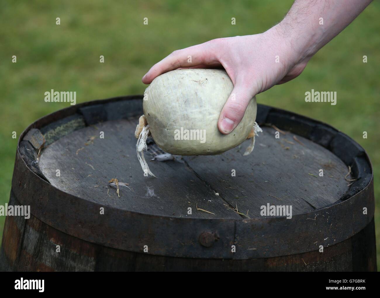 A haggis is lifted from a whicky barrell as members of the public take