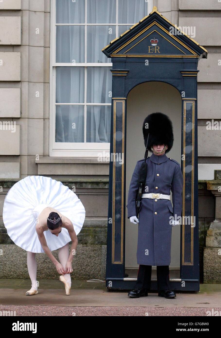 Duke of York Reception Buckingham Palace Stock Photo Alamy