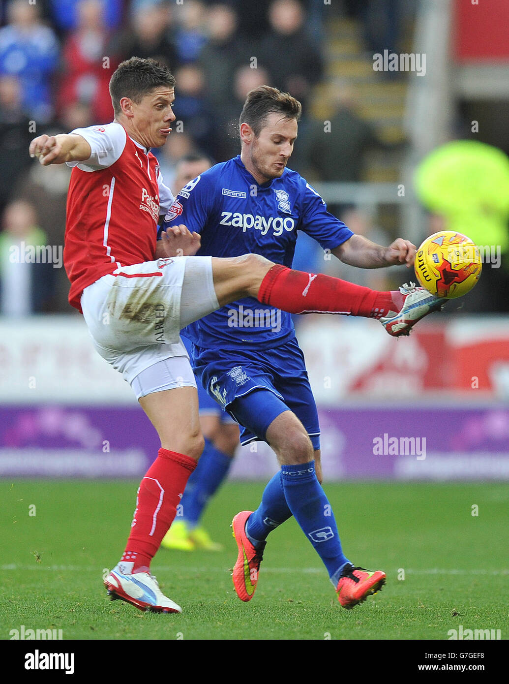 Rotherham United's Alex Revell (left) battles with Birmingham City's ...