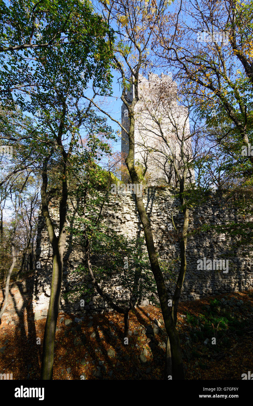 Pottenburg Castle, Berg, Austria, Niederösterreich, Lower Austria, Donau Stock Photo