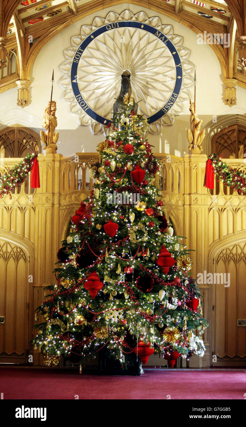 A six metre Nordman Fir tree from Windsor Great Park, which is part of the Christmas display in St George's Hall at Windsor Castle in Berkshire. Stock Photo