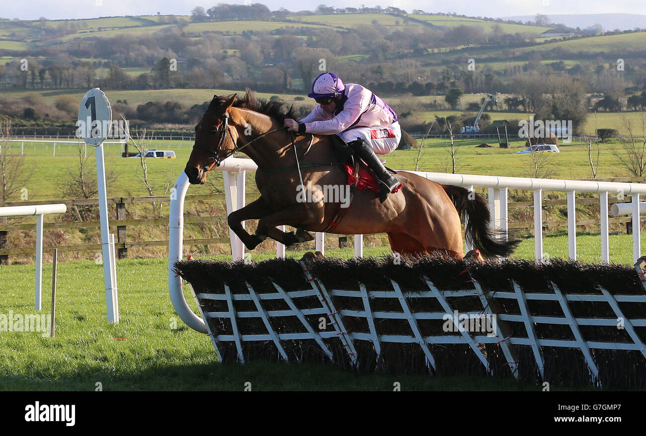Horse Racing Punchestown Racecourse Stock Photo Alamy