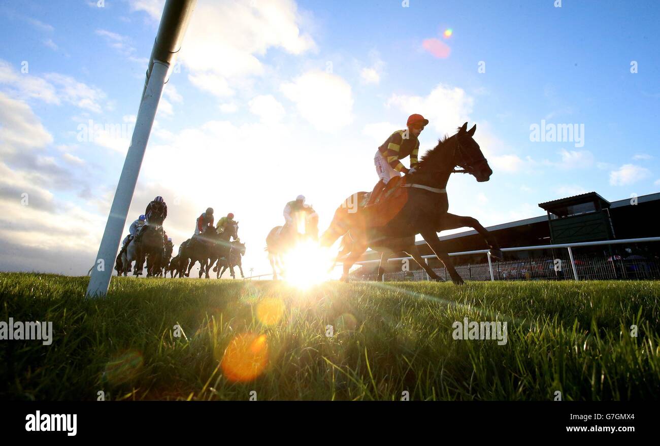 Horse Racing Punchestown Racecourse Stock Photo Alamy