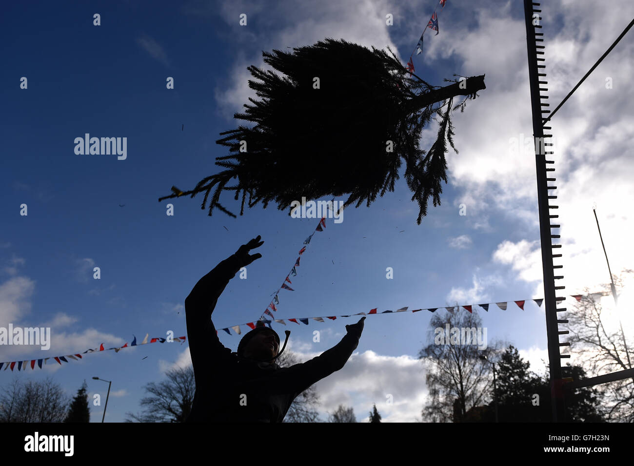 The UK Christmas Tree Throwing Championships Stock Photo Alamy